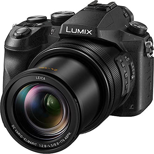 Panasonic Lumix DMC-FZ2500 Digital Camera (DMC-FZ2500) - Bundle - with 64GB Memory Card + DMW-BLC12 Battery + Digital Flash + Soft Bag + 12 Inch Flexible Tripod + Cleaning Set + More