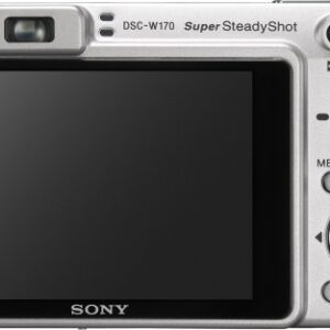 Sony Cybershot DSCW170 10.1MP Digital Camera with 5x Optical Zoom with Super Steady Shot (Silver)