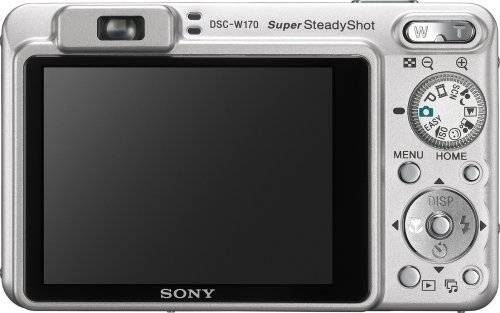 Sony Cybershot DSCW170 10.1MP Digital Camera with 5x Optical Zoom with Super Steady Shot (Silver)