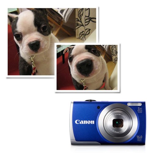 Canon PowerShot A2600 IS 16.0 MP Digital Camera with 5x Optical Zoom and 720p Full HD Video Recording (Blue)