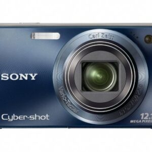 Sony Cyber-shot DSC-W290 12 MP Digital Camera with 5x Optical Zoom and Super Steady Shot Image Stabilization (Dark Blue) (OLD MODEL)