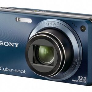 Sony Cyber-shot DSC-W290 12 MP Digital Camera with 5x Optical Zoom and Super Steady Shot Image Stabilization (Dark Blue) (OLD MODEL)