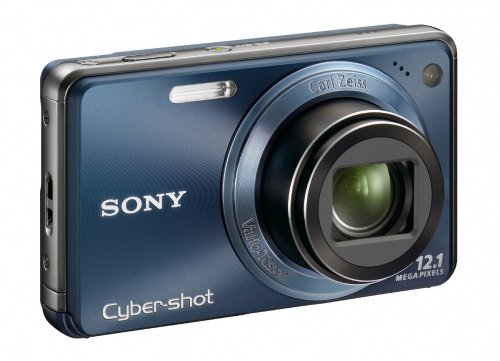 Sony Cyber-shot DSC-W290 12 MP Digital Camera with 5x Optical Zoom and Super Steady Shot Image Stabilization (Dark Blue) (OLD MODEL)