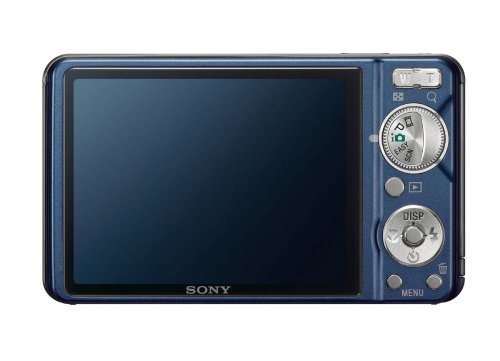 Sony Cyber-shot DSC-W290 12 MP Digital Camera with 5x Optical Zoom and Super Steady Shot Image Stabilization (Dark Blue) (OLD MODEL)