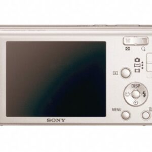 Sony Cyber-Shot DSC-W510 12.1 MP Digital Still Camera with 4x Wide-Angle Optical Zoom Lens and 2.7-inch LCD (Silver)