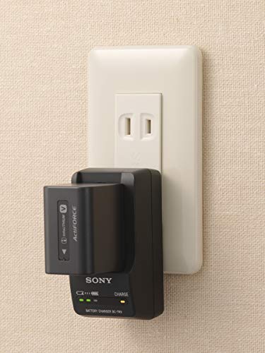 Sony BCTRV Travel Charger -Black