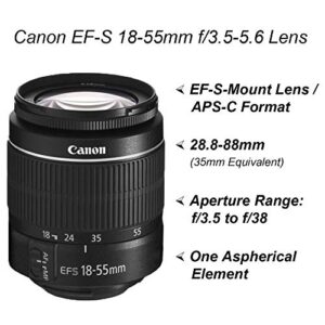 Canon EOS 2000D / Rebel T7 DSLR Camera with EF-S 18-55mm Zoom Lens + SanDisk 64GB Memory Card + Tripod + Case + Wideangle Lenses + ZeeTech Accessory Bundle (20pc Bundle) (Renewed)