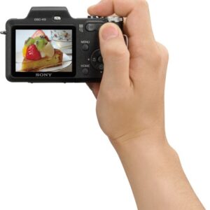 Sony Cyber-shot DSC-H3 8.1 MP Digital Camera with 10x Optical Zoom with Super SteadyShot Image Stabilization