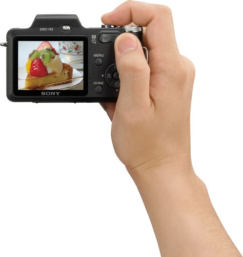 Sony Cyber-shot DSC-H3 8.1 MP Digital Camera with 10x Optical Zoom with Super SteadyShot Image Stabilization