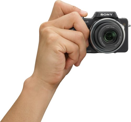 Sony Cyber-shot DSC-H3 8.1 MP Digital Camera with 10x Optical Zoom with Super SteadyShot Image Stabilization