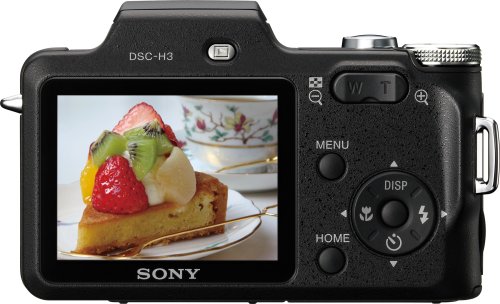 Sony Cyber-shot DSC-H3 8.1 MP Digital Camera with 10x Optical Zoom with Super SteadyShot Image Stabilization