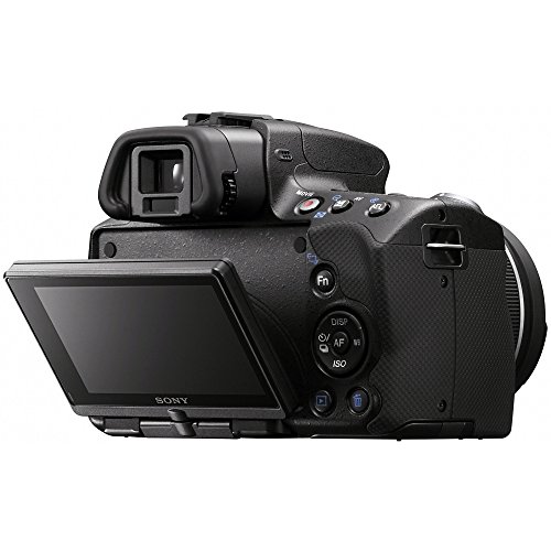 Sony Alpha SLTA33L DSLR with Translucent Mirror Technology and 3D Sweep Panorama (Black)