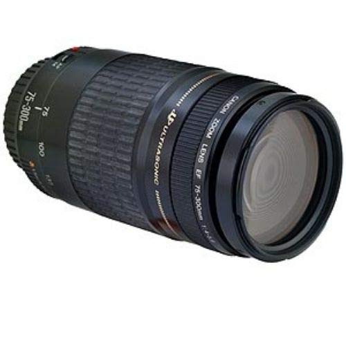 Canon EF 75-300mm f/4-5.6 Mk II USM Telephoto Zoom