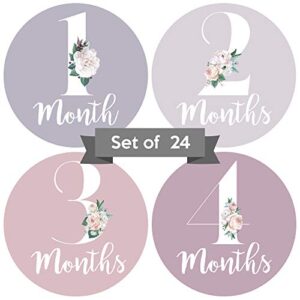 baby monthly stickers | floral baby milestone stickers | newborn girl stickers | month stickers for baby girl | baby girl stickers | newborn monthly milestone stickers (set of 24)