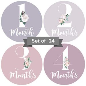 Baby Monthly Stickers | Floral Baby Milestone Stickers | Newborn Girl Stickers | Month Stickers for Baby Girl | Baby Girl Stickers | Newborn Monthly Milestone Stickers (Set of 24)