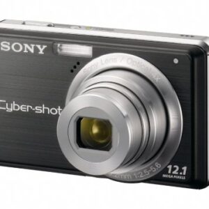 Sony Cybershot DSC-S980 12MP Digital Camera with 4x Optical Zoom with Super Steady Shot Image Stabilization (Black)