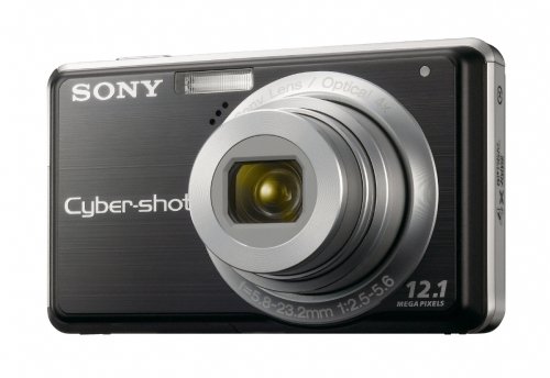 Sony Cybershot DSC-S980 12MP Digital Camera with 4x Optical Zoom with Super Steady Shot Image Stabilization (Black)