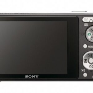 Sony Cybershot DSC-S980 12MP Digital Camera with 4x Optical Zoom with Super Steady Shot Image Stabilization (Black)