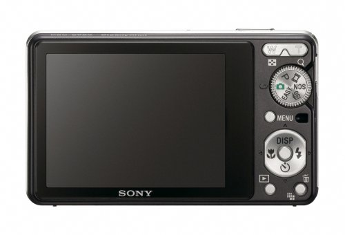 Sony Cybershot DSC-S980 12MP Digital Camera with 4x Optical Zoom with Super Steady Shot Image Stabilization (Black)