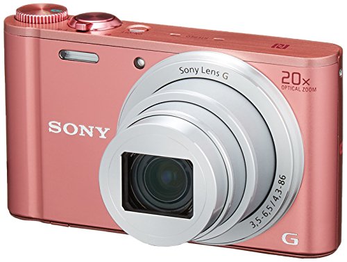 Sony Cybershot DSC-WX350 Digital Camera (Pink)