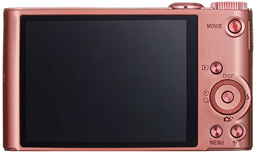 Sony Cybershot DSC-WX350 Digital Camera (Pink)