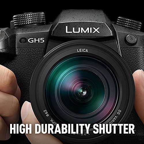 Panasonic LUMIX GH5 4K Mirrorless Camera with Lecia VARIO-Elmarit 12-60mm F2.8-4.0 Lens (DC-GH5LK)