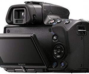 Sony Alpha SLT-A55V DSLR with Translucent Mirror Technology and 3D Sweep Panorama (Camera Body only) (Black)