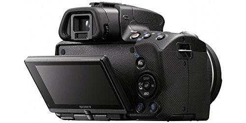 Sony Alpha SLT-A55V DSLR with Translucent Mirror Technology and 3D Sweep Panorama (Camera Body only) (Black)