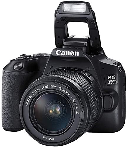 Canon EOS 250D (Rebel SL3) DSLR Camera with 18-55mm & 75-300mm Canon Lenses + 64GB Card, Tripod, Flash, and More (20pc Bundle) Black compact