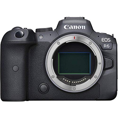 Canon EOS R6 Mirrorless Digital Camera (Body Only) 4082C002 + 2 x 64GB Memory Card + Case + Corel Software + 3 x LPE6 Battery + External Charger + Card Reader + LED Light + HDMI Cable + More (Renewed)