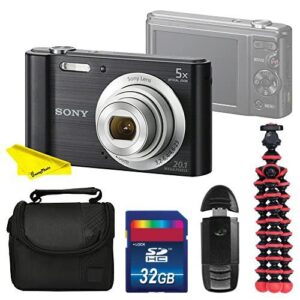 cyber-shot dsc-w800 digital camera (black) with buzz-photo accessories bundle kit