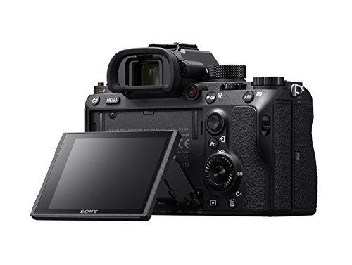 Sony a9 Full Frame Mirrorless Interchangeable-Lens Camera (Body Only) (ILCE9/B) (Renewed)