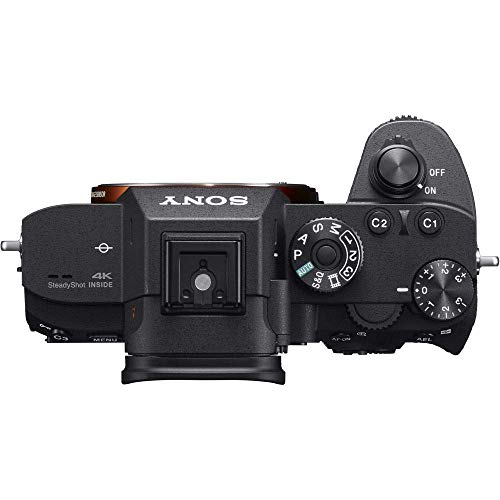 Sony Alpha a7R III Mirrorless Digital Camera (Body Only) (ILCE7RM3/B) + 2 x 64GB Memory Card + 3 x NP-FZ-100 Battery + Corel Photo Software + Case + Card Reader + LED Light + More (Renewed)