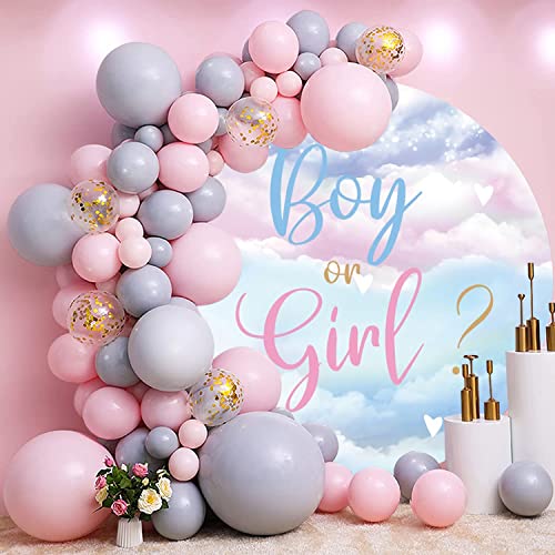 DASHAN Boy or Girl Ggender Reveal Decorations Backdrop Baby Gender Reveal Party Supplies Gender Reveal Backdrop Banner Blue Pink Clouds Round Backdrop 6.5x6.5ft Polyester