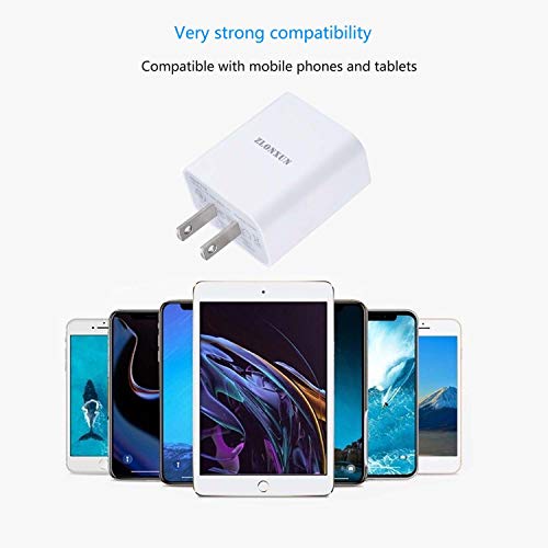 iPhone 13 11 12 Charger Plug,20W Fast Wall Charger Adapter Block and Cable Compatible for iPhone 13 11 12 Pro XS XR Max Mini SE,iPad Air,iPad 9/8/7/6/5,iPad Pro,ipad Mini