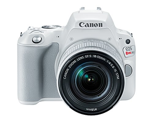 Canon Cameras US 2252C001 EOS Rebel SL2 (WH) EF-S 18-55mm f/4-5.6 STM (BK) Digital SLR Camera Kit, 3", White