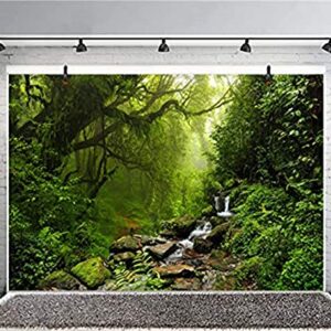 LFEEY 10x8ft Graceful Natural Scenery Backdrop Evergreen Forest Jungle Rock Flowing Mountain Stream Rainforest Photography Background Birthday Party Events Photo Studio Props