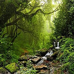 LFEEY 10x8ft Graceful Natural Scenery Backdrop Evergreen Forest Jungle Rock Flowing Mountain Stream Rainforest Photography Background Birthday Party Events Photo Studio Props