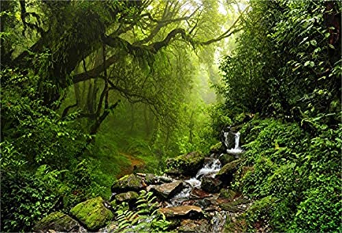 LFEEY 10x8ft Graceful Natural Scenery Backdrop Evergreen Forest Jungle Rock Flowing Mountain Stream Rainforest Photography Background Birthday Party Events Photo Studio Props