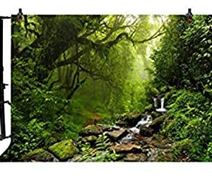 LFEEY 10x8ft Graceful Natural Scenery Backdrop Evergreen Forest Jungle Rock Flowing Mountain Stream Rainforest Photography Background Birthday Party Events Photo Studio Props