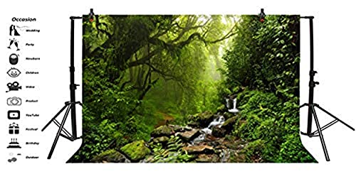 LFEEY 10x8ft Graceful Natural Scenery Backdrop Evergreen Forest Jungle Rock Flowing Mountain Stream Rainforest Photography Background Birthday Party Events Photo Studio Props