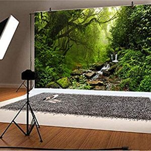 LFEEY 10x8ft Graceful Natural Scenery Backdrop Evergreen Forest Jungle Rock Flowing Mountain Stream Rainforest Photography Background Birthday Party Events Photo Studio Props