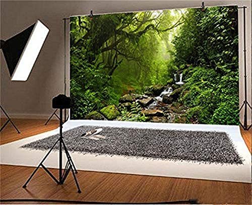 LFEEY 10x8ft Graceful Natural Scenery Backdrop Evergreen Forest Jungle Rock Flowing Mountain Stream Rainforest Photography Background Birthday Party Events Photo Studio Props