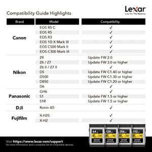 Lexar Professional CFexpress 256GB Type-B Card (LCFX10-256CRBNA)