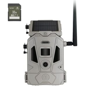 bushnell cellucore 20 solar trail camera, low glow hunting game camera with detachable solar panel with bundle options (sd card)