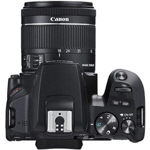 Canon EOS Rebel SL3 DSLR Camera with 18-55mm Lens (Black) (3453C002) + Canon EF 50mm Lens + 64GB Card + Color Filter Kit + Case + Filter Kit + Corel Photo Software + 2 x LPE17 Battery + More (Renewed)