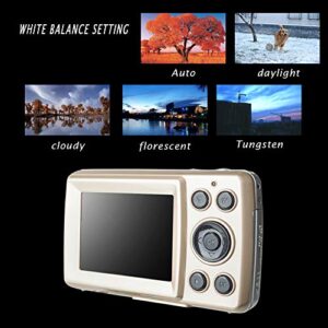 EMVANV HD Digital Camera, 2.4 Inch Display FHD 1080P Mini Video Camera 16MP Zoom Recording Portable Durable Shooting Digital Camera, Compact Portable Mini Cameras for Students, Teens, Kids