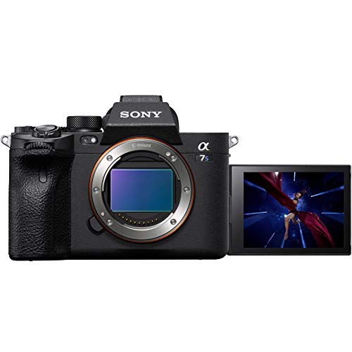 Sony a7s III ILCE-7SM3/B Mirrorless Digital Camera with 35mm Full-Frame Image Sensor Body Double Battery Bundle Including Deco Gear Carry Case + 2X 64GB Memory Card (128GB Total) and Kit Accessories