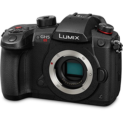 Lumix DC-GH5S Mirrorless Digital Camera with G 25mm f/1.7 Lens 15PC Bundle - Includes Manufacturer Accessories + 2 Replacement BLF19 Batteries + More - International Version (No Warranty)