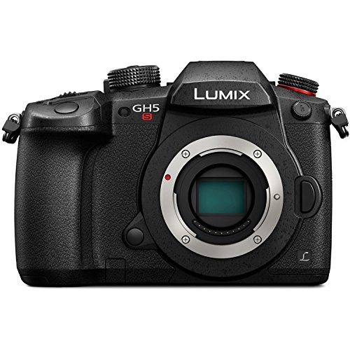 Lumix DC-GH5S Mirrorless Digital Camera with G 25mm f/1.7 Lens 15PC Bundle - Includes Manufacturer Accessories + 2 Replacement BLF19 Batteries + More - International Version (No Warranty)